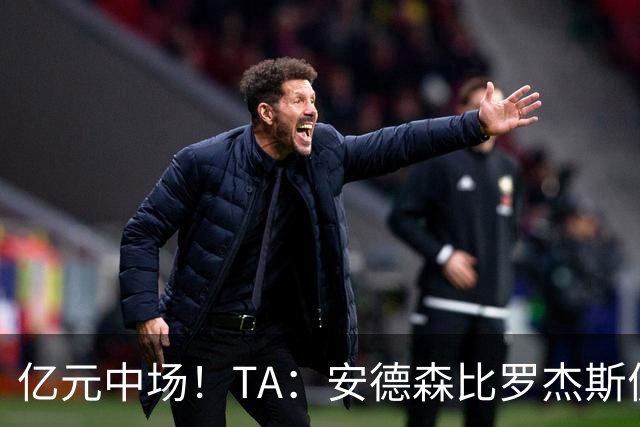 亿元中场！TA：安德森比罗杰斯便宜一点，但更具核心价值
